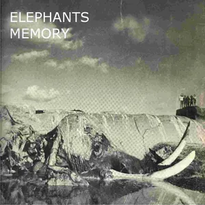 Elephant's memory